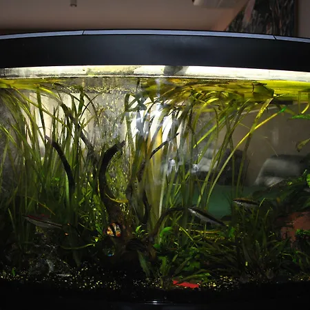 Centro Carraro 3* Chievo