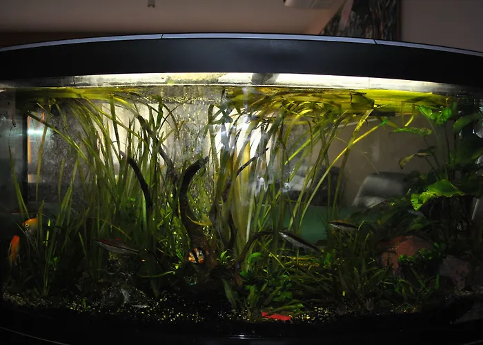 Centro Carraro 3* Chievo