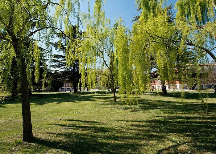 Centro Carraro Chievo